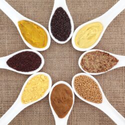 Mustard selection of powder, seed, french, dijon, english and wholegrain in white porcelain spoons over hessian background.