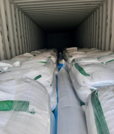 Bags in Container